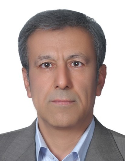 محمدحسین دهقانی