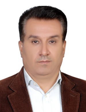 Mohsen Rezaei